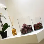 Maison Piazza Cavour 招待所 4*